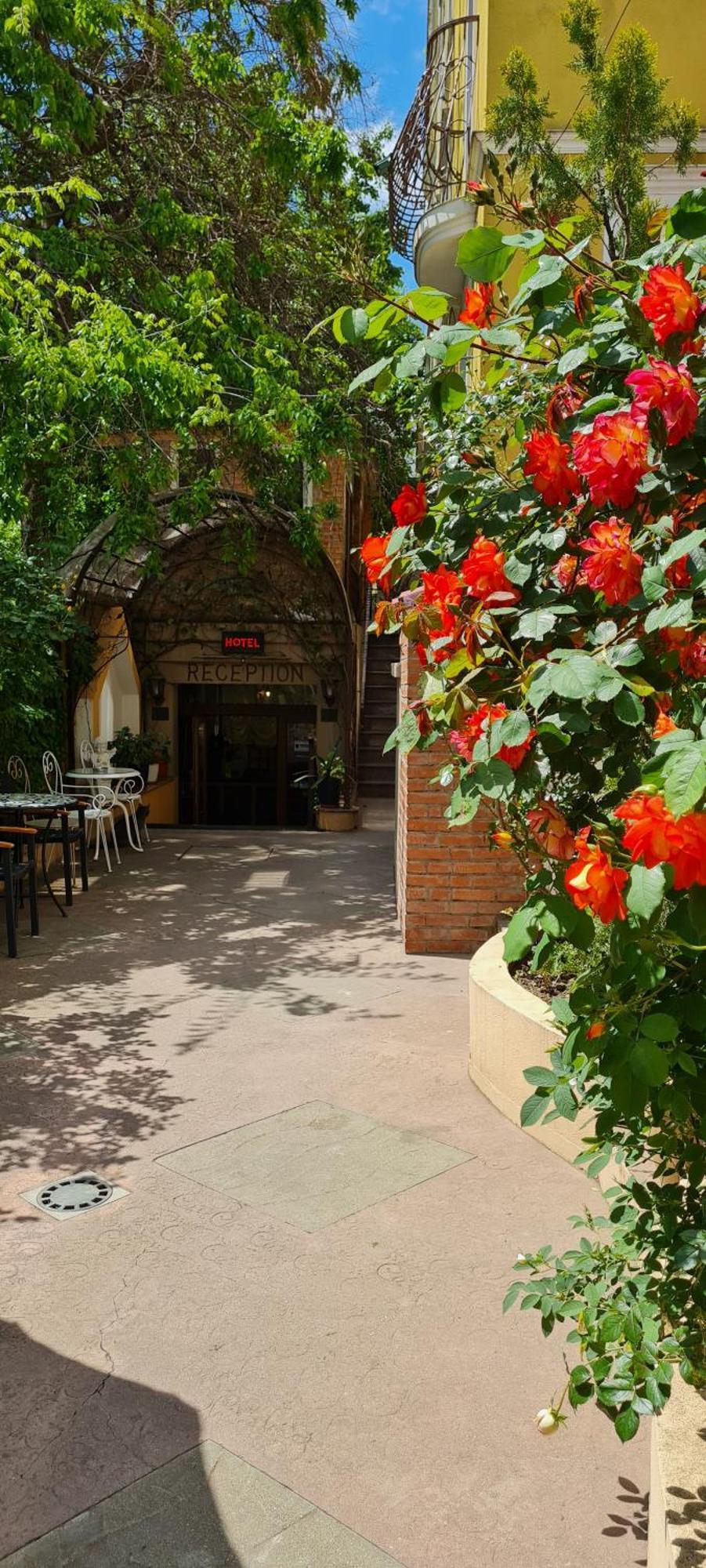 Casa Michelangelo Ξενοδοχείο Βουκουρέστι Εξωτερικό φωτογραφία