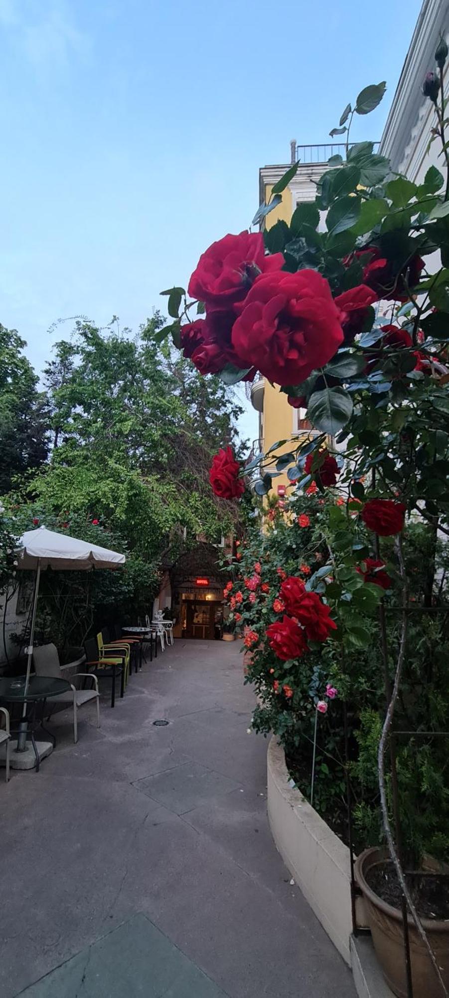 Casa Michelangelo Ξενοδοχείο Βουκουρέστι Εξωτερικό φωτογραφία